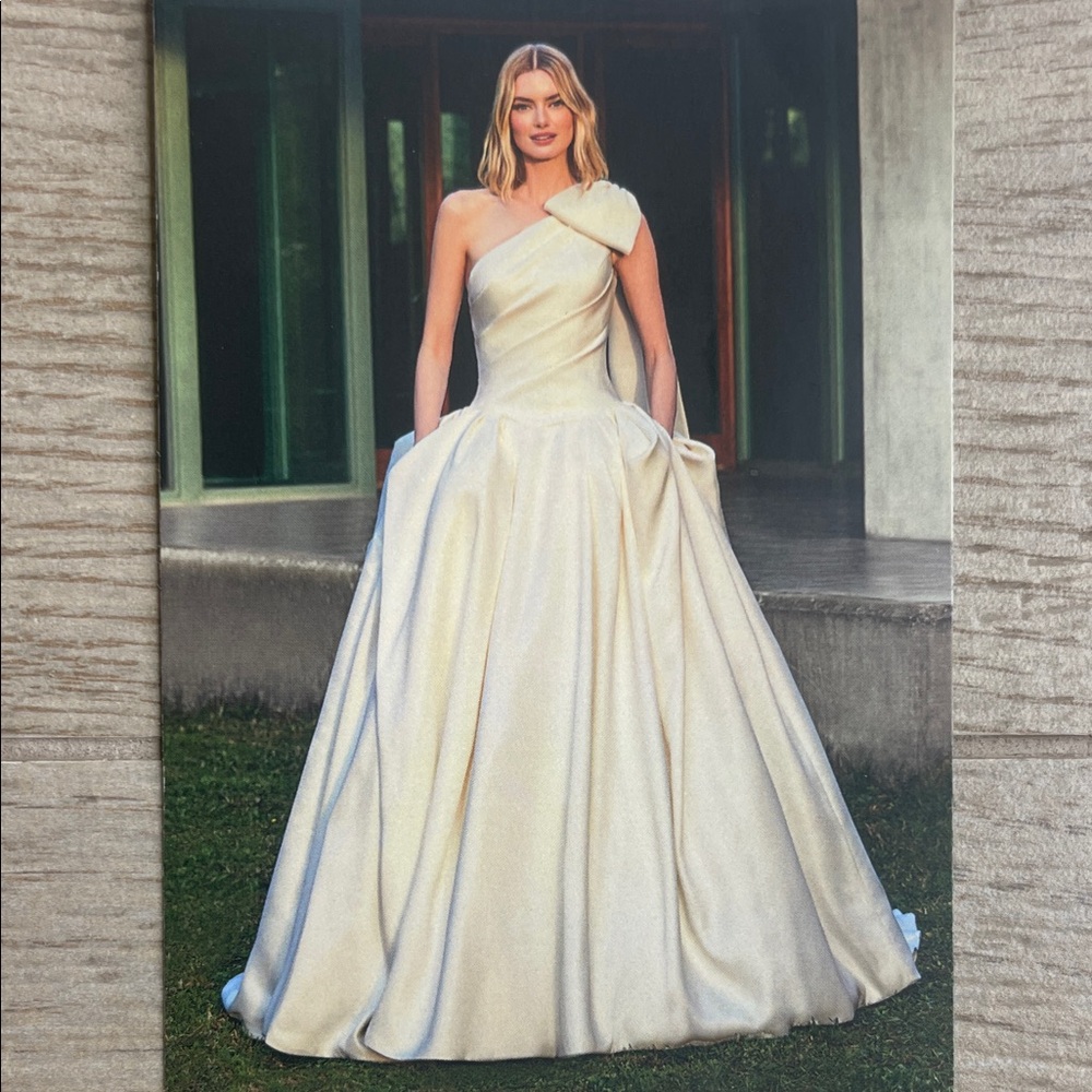 Pronovias Finke Mikado Princess Ball Gown Wedding Dress